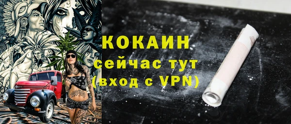 хмурый Лагань