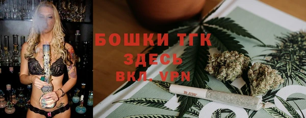 хмурый Лагань