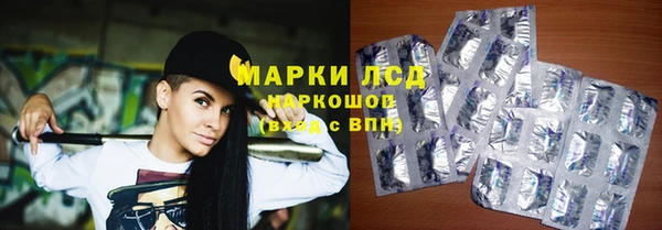 хмурый Лагань