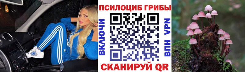 Купить  Реж  Псилоцибиновые грибы Cubensis 